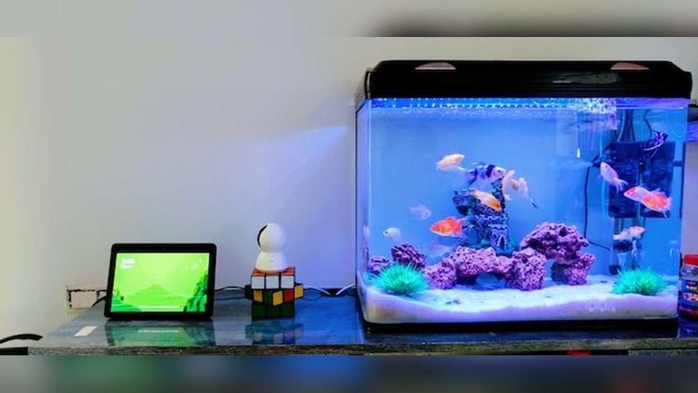 Can Solar Generator Power a Fish Tank